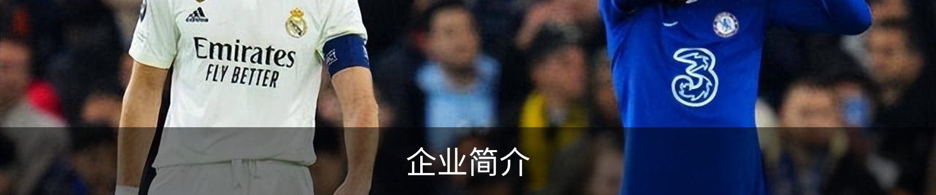 企业简介