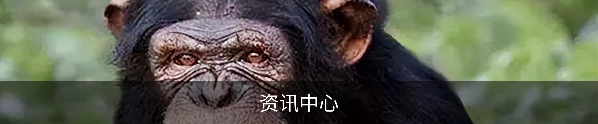 服务中心